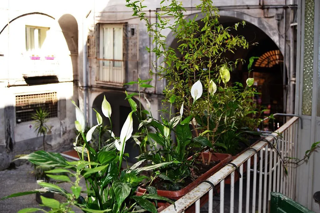 Bella Napoli Art Gallery